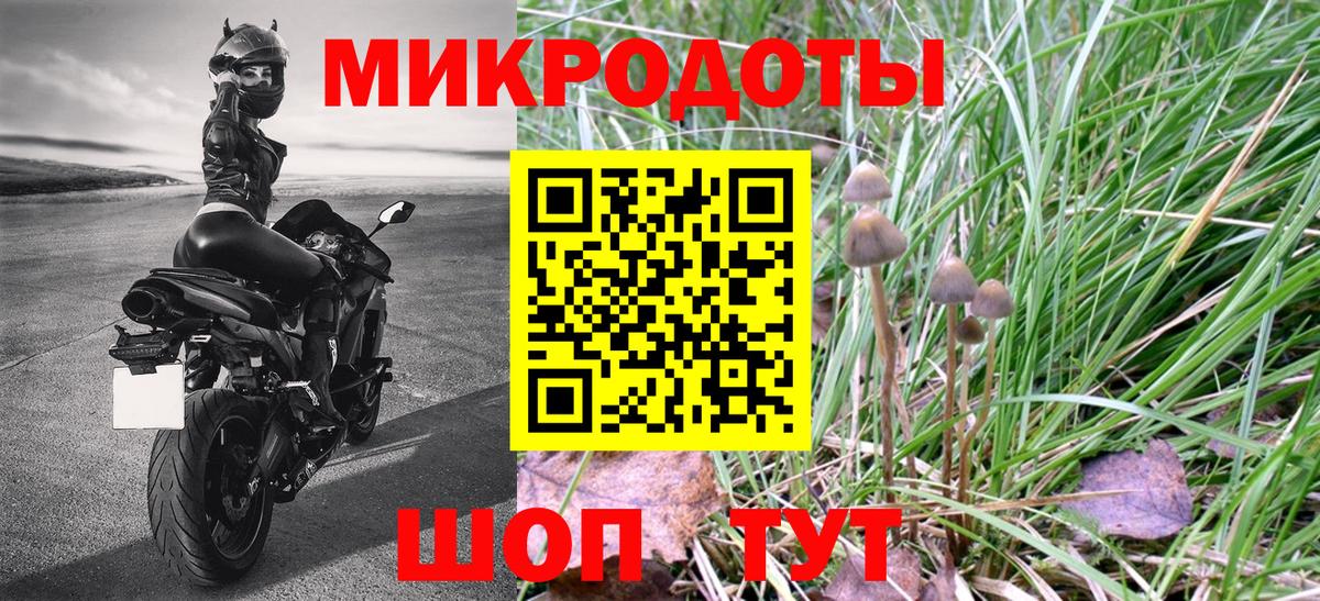 Псилоцибиновые грибы Psilocybe  Галлюциногенные грибы прущие грибы  Вход с VPN  Нижний Новгород 